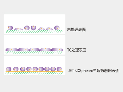 超低吸附表面具有共價結合的水凝膠層，具有極強的抗蛋白吸附性和抗細胞貼壁性，可有效抑制細胞附著
